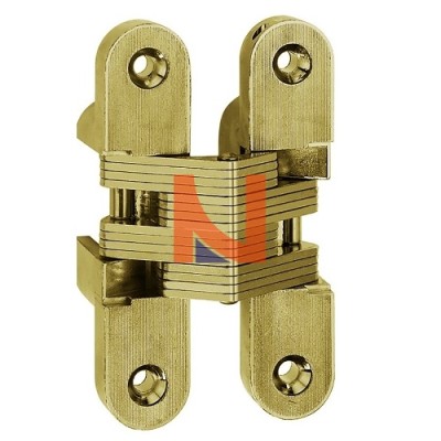 CERNIERA INVISIBILE A SCOMPARSA PER PORTE, 116.5X25.8 MM, PORTATA 50-70 KG, FINITURA OTTONATO