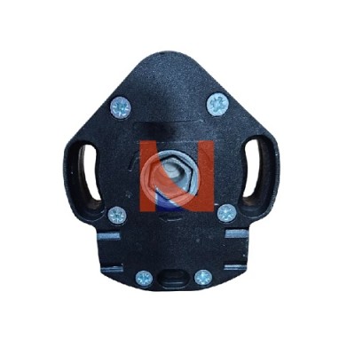 ARGANELLO AD ASTA OSCILLANTE PORTATA 30 KG